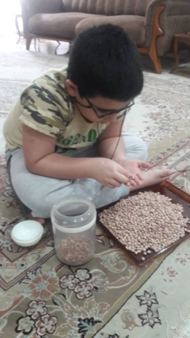 سبک زندگی (رفتار برگزیده دانش آموزان در منزل)