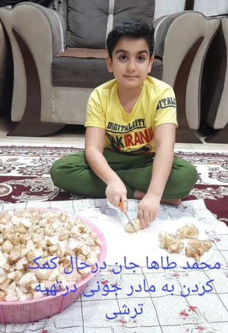 سبک زندگی (رفتار برگزیده دانش آموزان در منزل)